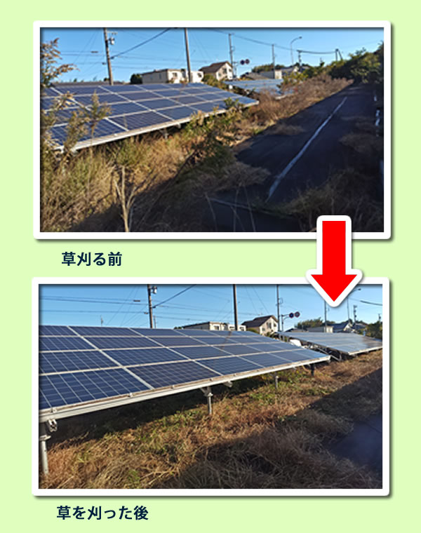 パネル下の枝まで除去します